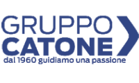 gruppocatone.it
