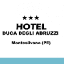 hotelducadegliabruzzi.it