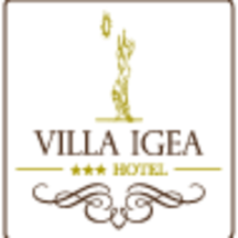 hotelvillaigea.com