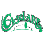 ilcasolareristorante.com