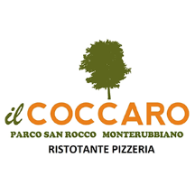 ilcoccaro.it
