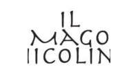 ilmagonicolino.it