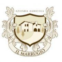 ilmarrugio.com