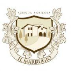 ilmarrugio.com