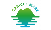 internationalgabicce.com