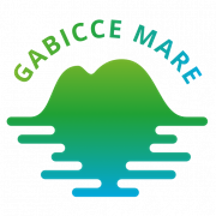 internationalgabicce.com