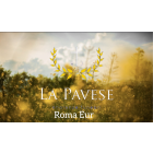 lapaveseonoranzefunebri.it