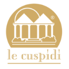 lecuspidi.com