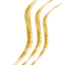 lesthetiquemestre.com