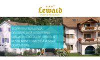 lewald.it