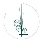 lineaverdenicolini.it