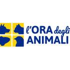 loradeglianimali.it