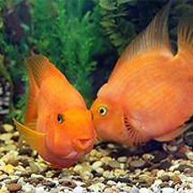 medecin-lausanne.com