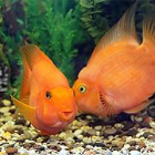 medecin-lausanne.com