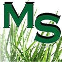 mediterraneaservizisrl.it