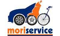 moriservicefirenze.it