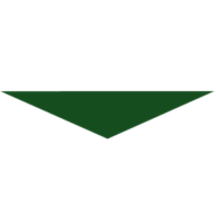 muziorinoelettrodomestici.it