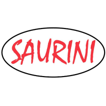 officinasaurini-cles.it