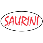 officinasaurini-cles.it