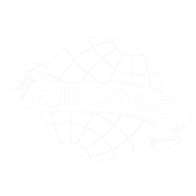 onoranzefunebricaso.it