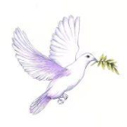 onoranzefunebritrevisio.com