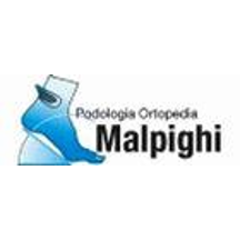 ortopediamalpighi.it