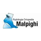 ortopediamalpighi.it