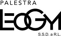 palestraleogym.com