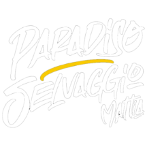 paradisoselvaggiomattia.com