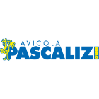 pascalizisrl.com