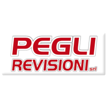 peglirevisioni.it