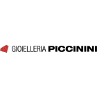 piccininiorologiai.it