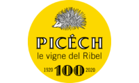 picech.com