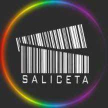 polisportivasalicetamodena.com