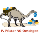 ppfister.ch
