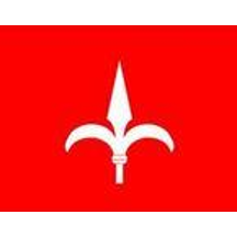 prontointerventotrieste.it