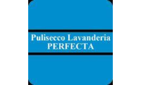 puliseccoperfecta.it