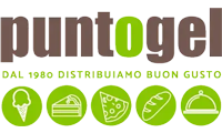 puntogel.com