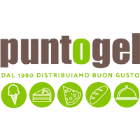 puntogel.com