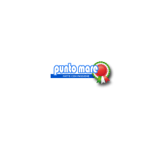 puntomare.it