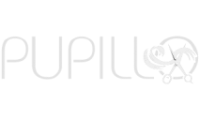 pupilloparrucchieri.it