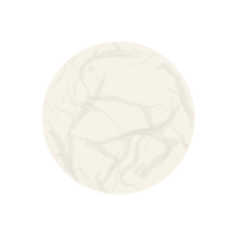 ristorantecastiglia.com