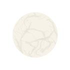 ristorantecastiglia.com