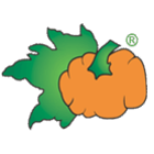 ristorantelazucca.com