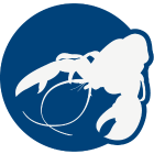 ristorantemediterraneosalerno.it