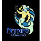 ristorantepizzerianettuno.com