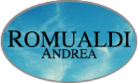 romualdi.it
