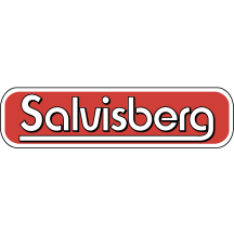 salvisberg.swiss