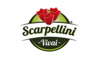 scarpellinivivai.it