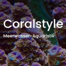 schwimmbadundmeer.ch